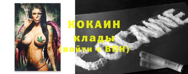дмт Майский