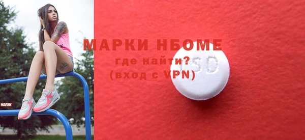 прущие грибы Магас
