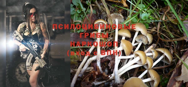 дмт Майский