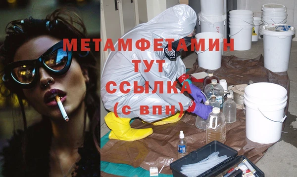 прущие грибы Магас