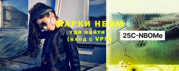 прущие грибы Магас