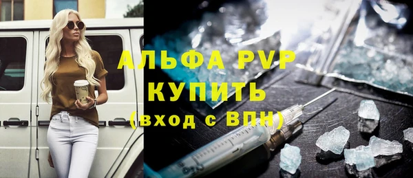 прущие грибы Магас