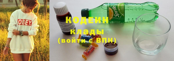 прущие грибы Магас