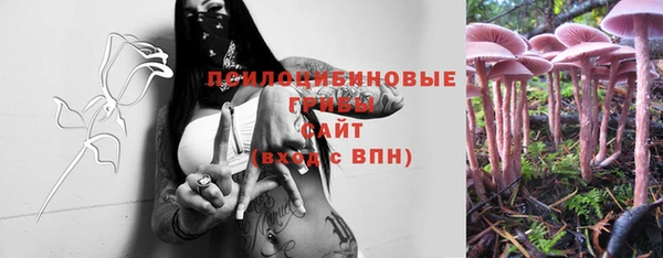 дмт Майский