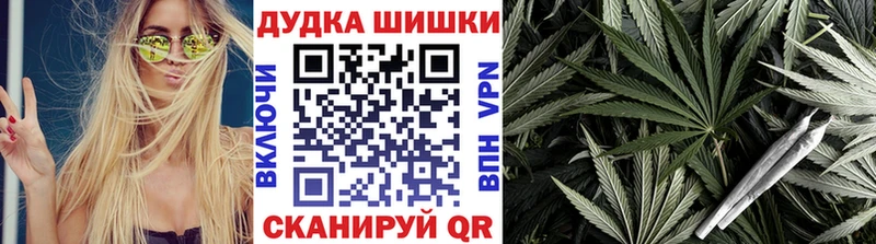 купить   Нюрба  Марихуана планчик 